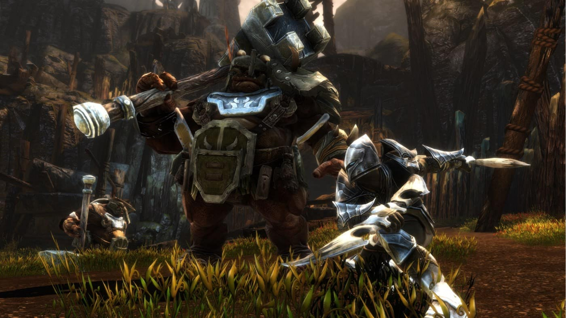 Kingdoms of Amalur: Re-Reckoning Fate Edition