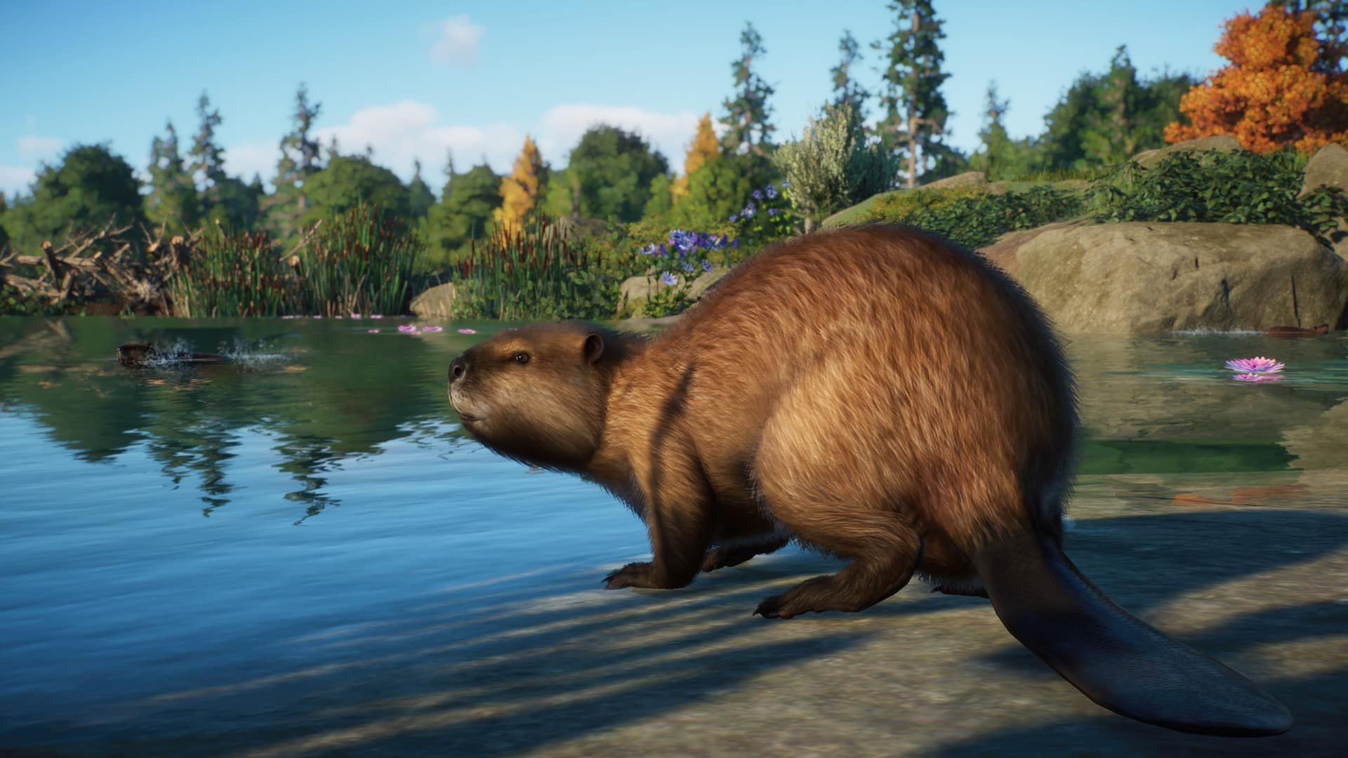 Planet Zoo: North America Animal Pack