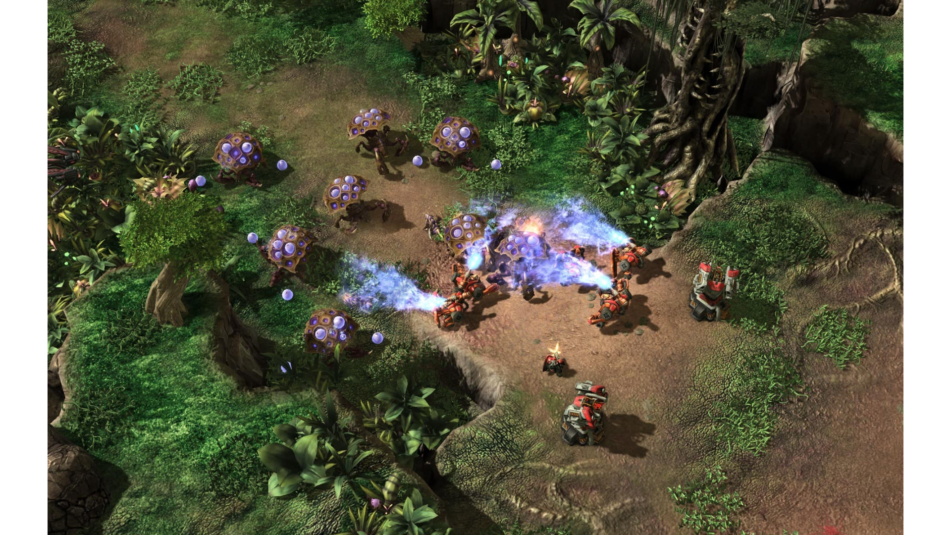 StarCraft 2: Heart of the Swarm